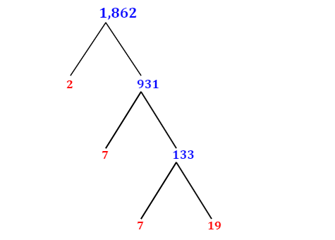 Prime Factorization of 1,862 with a Factor Tree