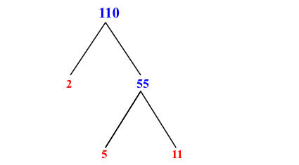 Prime Factorization of 110 with a Factor Tree