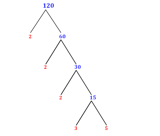 Prime Factorization of 120 with a Factor Tree