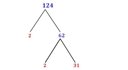 Prime Factorization of 124 with a Factor Tree