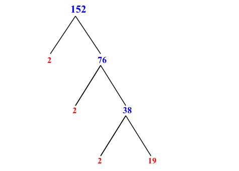 Prime Factorization of 152 with a Factor Tree