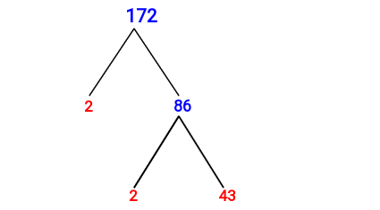 Prime Factorization of 172 with a Factor Tree