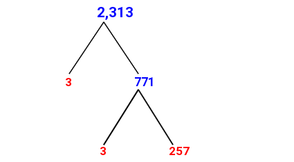 Prime Factorization of 2,313 with a Factor Tree