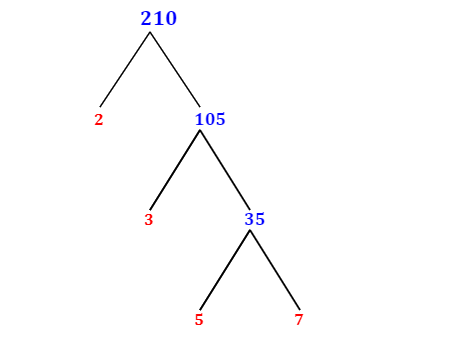 Prime Factorization of 210 with a Factor Tree