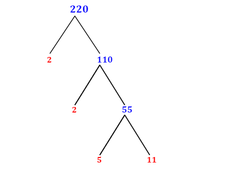 Prime Factorization of 220 with a Factor Tree