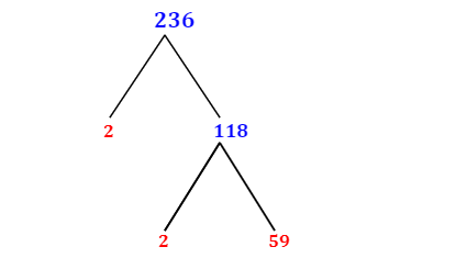 Prime Factorization of 236 with a Factor Tree