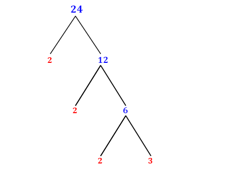 Prime Factorization of 24 with a Factor Tree