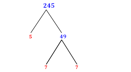 Prime Factorization of 245 with a Factor Tree