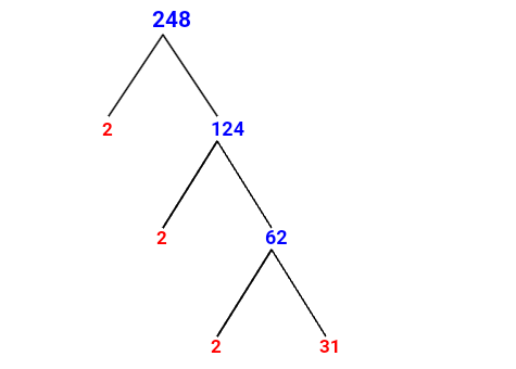 Prime Factorization of 248 with a Factor Tree