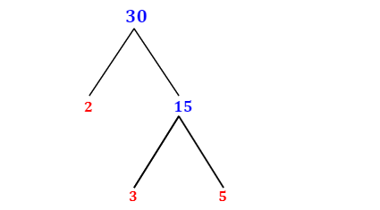 30 Prime Factor Tree