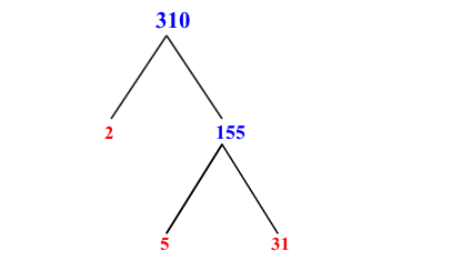 Prime Factorization of 310 with a Factor Tree