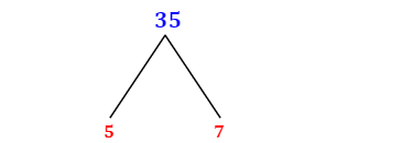 Prime Factorization of 35 with a Factor Tree