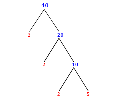 Prime Factorization of 40 with a Factor Tree