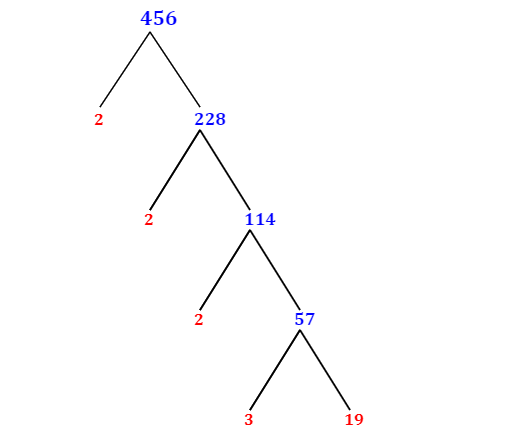Prime Factorization of 456 with a Factor Tree