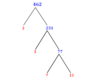 Prime Factorization of 462 with a Factor Tree