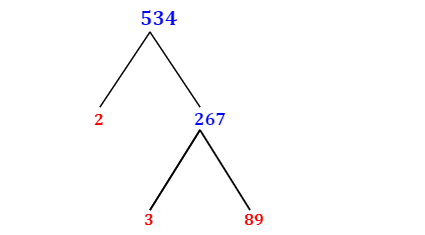 Prime Factorization of 534 with a Factor Tree