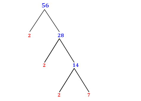 Prime Factorization of 56 with a Factor Tree