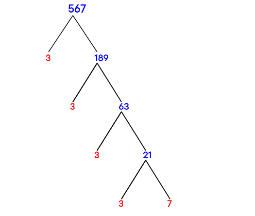 Prime Factorization of 567 with a Factor Tree