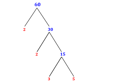 Prime Factorization of 60 with a Factor Tree