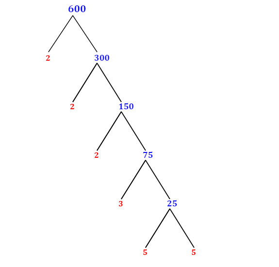 Prime Factorization of 600 with a Factor Tree