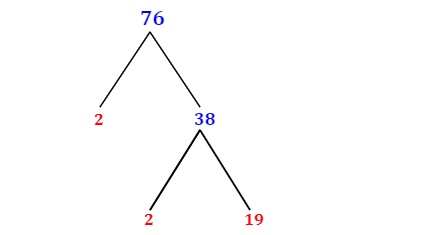 Prime Factorization of 76 with a Factor Tree