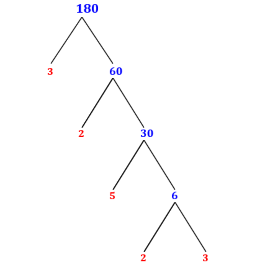 Prime Factorization with a Factor Tree - MathOnDemand.com